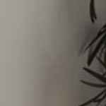 24*36” edge type gold