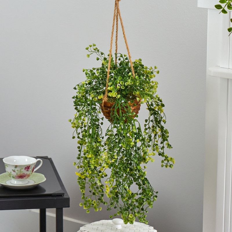 Nearly Natural 20-in Baby Tear Artificial Plant in Hanging Basket, 3 of 5