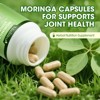 Mulittea Organic Moringa Capsules 1000mg – 7-in-1 Superfood for Immune, Gut & Skin Health – Non-GMO, 60 Ct - 3 of 4