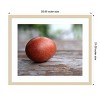 Amanti Art Egg on Wood by Tania Soderman Wood Framed Wall Art Print - 4 of 4