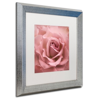 Cora Niele 'Misty Rose Pink Rose' Floating Brushed Aluminum Art