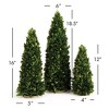 Plum & Post Boxwood Mini Trees Set of 3 - 3 of 3
