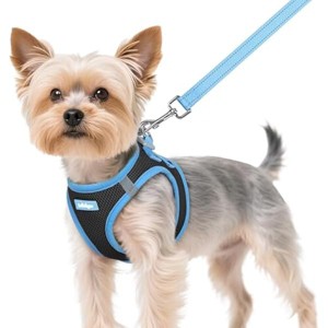 rabbitgoo Dog Harness Small Sized and  Walking Reflective Puppy Vest for Small Dogs, Black & Light Blue, XS - 1 of 1