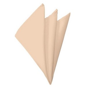 TheDapperTie - Men's Solid Color 10 Inch x 10 Inch Pocket Squares Handkerchief - 1 of 3