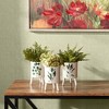Melrose Footed Foliage Print Planter (Set of 3) - 2 of 4