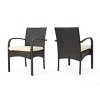 Modern Wicker Outdoor Dining Chair with Cushions Armrest Patio Chairs Set of 2 for Poolside-Tanpinhause - 2 of 4