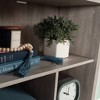 Sauder 65.748" 9 Cube Vertical Bookcase Spring Maple: Fixed Shelves, MDF, Recyclable - 4 of 4