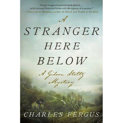 A Stranger Here Below - (Gideon Stoltz Mystery) by  Charles Fergus (Paperback)