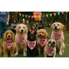 Parisian Pet 'Pretty Girl' Bandana - Fashionable, Comfortable Pink Pet Bandana for Dogs & Cats, Trendy Pet Fashion Accessory - 4 of 4