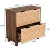 Tribesigns Wood File Cabinet, Lateral Filing Cabinet for Letter Size/A4/Legal Hanging Files, Printer Stand with 2 Drawers for Home Office - 3 of 4