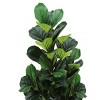 Syemin Artificial Plants Artificial Plant 47" Tall Fiddle Tree Indoor Outdoor Faux Fake Fall Decorations for Home Fake Plants, Green, 25"*24"*47" - 4 of 4