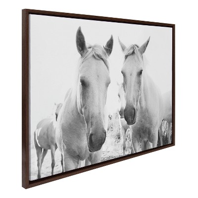 38" x 28" Black and White Canvas Print of Horses in Brown Frame