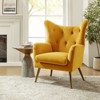 Godefroy Upholstery Accent Chair velvet with Wingback | Karat Home - 3 of 4