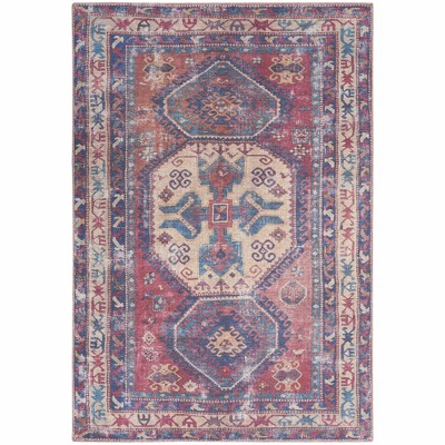 Nourison New Concept Washables Vintage Area Rug