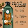 Herbal Essences Jojoba Oil Sulfate Free Shampoo, For Frizzy Hair - 13.5 fl oz - 2 of 4