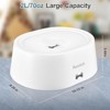 BENCMATE Pet Bowl No Spill Dog Water Bowl with Floating Disk and Water Filter with 2L, Pet Water Dispenser for Pet Family, White, 10.41"*3.93"*8.57" - 3 of 4
