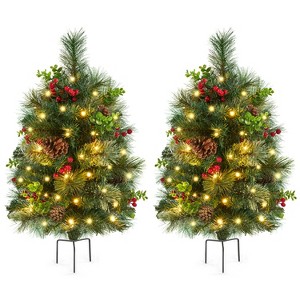 Yaheetech 2Ft/3Ft Pre-Lit Outdoor Pathway Christmas Trees, Set of 2 - 1 of 4