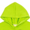 Teenage Mutant Ninja Turtles Fleece Pullover Hoodie Toddler - 3 of 4
