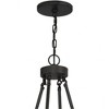 Crystorama Lighting Dakota 12 - Light Chandelier in  Black - 2 of 4