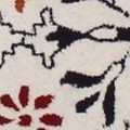 ivory/multi