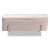 Rockwell Velvet Metal Storage Bench - Baxton Studio - 3 of 4