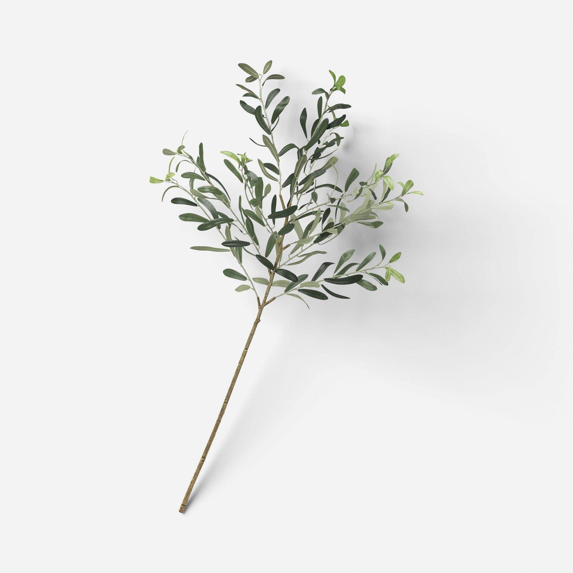 Olive Branch - Threshold™