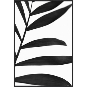 23" x 33" Black Palms V by W. Stramel Framed Canvas Wall Art Print - Amanti Art: Modern Decor, Polystyrene Frame, Vertical Layout - 1 of 4