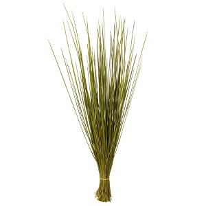 Vickerman 24-30" Basil Whip Grass, 8 oz Bundle, Dried - 1 of 4