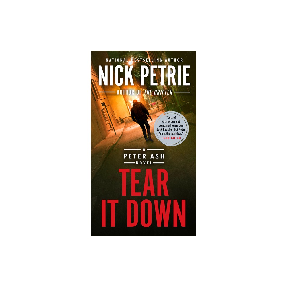 Tear It Down - (Peter Ash Novel) by Nick Petrie (Paperback)