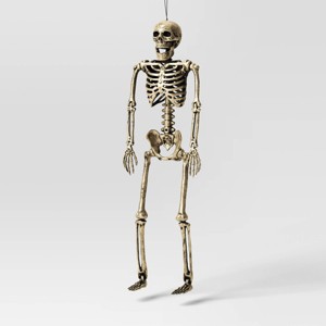 24" Poseable Skeleton Halloween Decorative Prop Champagne - Hyde and EEK! Boutique™ - 1 of 3