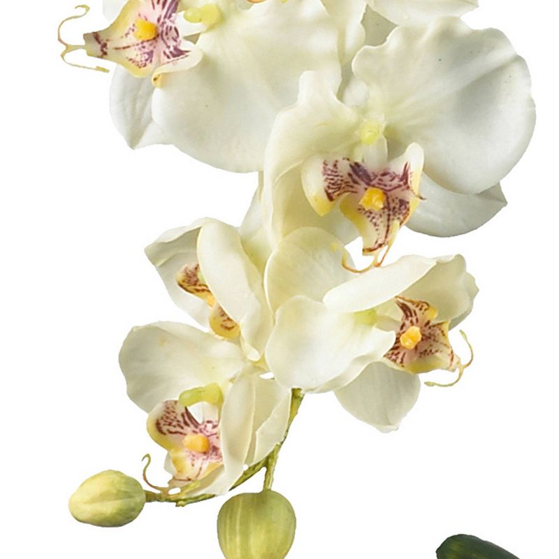 18&#34; x 16&#34; Artificial Phalaenopsis Orchid with Glass Vase White - Nearly Natural, 3 of 5
