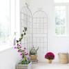 NicBex Metal Garden Arch Garden Trellis Netting Rust-Proof Metal Garden Trellis for Climbing Plants - 2 of 4