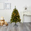 Nearly Natural 4-ft Sierra Spruce Natural Look Artificial Christmas Tree with 150 Clear LED Lights - 4 of 4