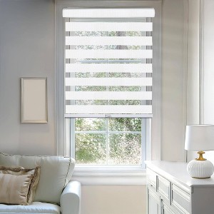 Chicology Light Filtering Zebra Shade - 1 of 4
