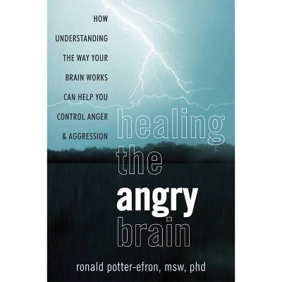 Healing the Angry Brain - by  Ronald Potter-Efron (Paperback)