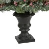 4ft. Frosted Pine, Pinecone & Berries Artificial Christmas Tree with 100 Clear LED Lights in Decorative Urn – Petite X-Mas Tree - 4 of 4