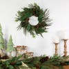 Northlight Mixed Foliage with Berries Artificial Christmas Wreath, 20-Inch, Unlit - 3 of 4