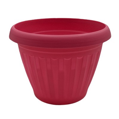 Buzzy Seeds 5.5" Plastic Grow Pot Parlor Palm