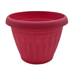 Buzzy Seeds 5.5" Plastic Grow Pot Parlor Palm - 1 of 4