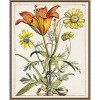 Amanti Art Dutch Florals V Wood Framed Wall Art Print - 4 of 4