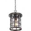 Quoizel Lighting Crusade 1 - Light Pendant in  Palladian Bronze - 4 of 4