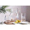TAG Fleur Etched Glass Pitcher Clear Glass 6.25"L x 6.25"W x 9.0"H 67 oz - 3 of 4