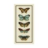 Trademark Fine Art -Chariklia Zarris 'Butterfly Collector Vi' Canvas Art - 2 of 4