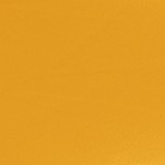 Yellow 10 FT