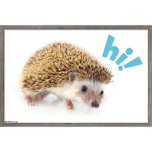 Trends International Cute Hedgehog - Hi! Framed Wall Poster Prints - 1 of 4
