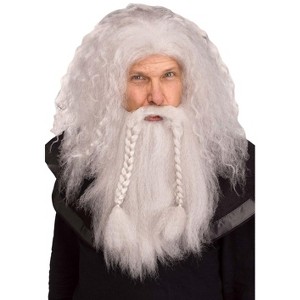 Fun World Viking Warrior Wig & Beard (Grey) - 1 of 1