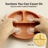 3-Pack Prep Suction Plates for Baby, 100% Silicone Toddler Plates, BPA-Free Divided Baby Plates with Suction - 3 of 4