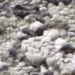 medium gray, gray, ivory, black, charcoal, tan