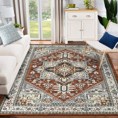 Modern Washable Area Rug for Living Room, Vintage Throw Soft Rug with Non Slip Backing, Low Pile Stain Resistant Indoor Carpet for Home