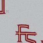 florida state seminoles